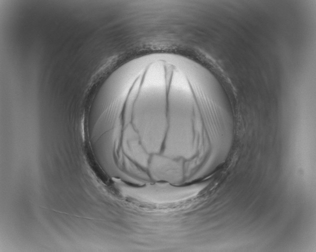 X0000053120019200508081303