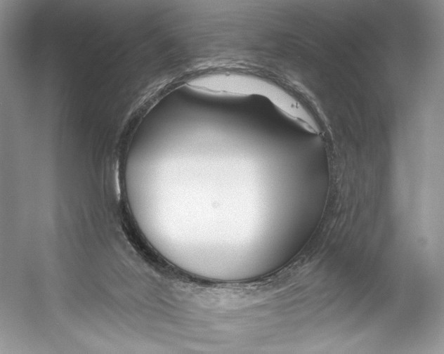 X0000053120020200508081303