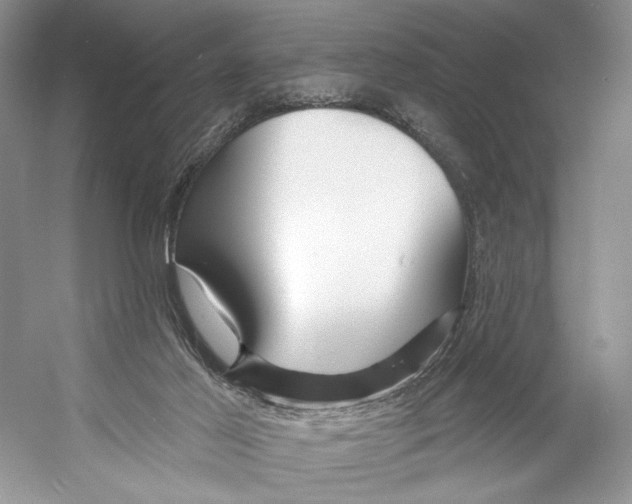 X0000053120021200508081303