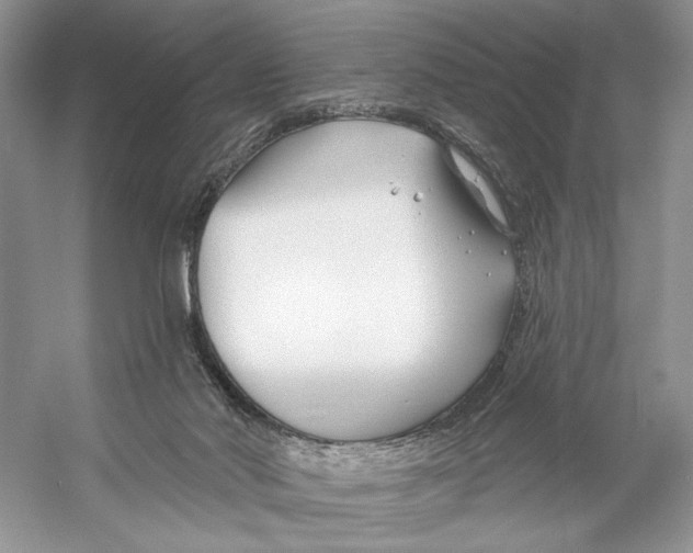 X0000053120022200508081303