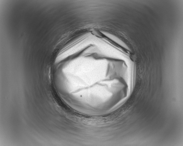 X0000053120024200508081303