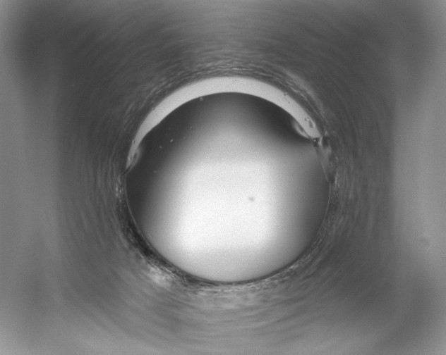 X0000053120025200508081303