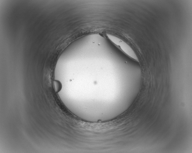 X0000053120026200508081303