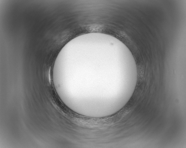 X0000053120028200508081303