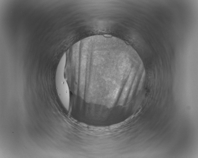 X0000053120029200508081303