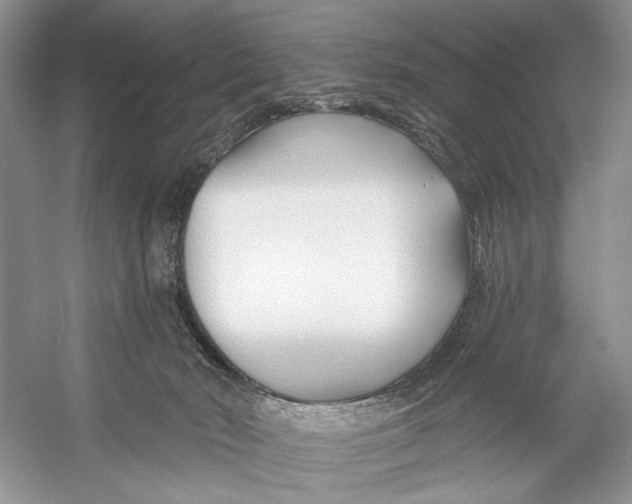 X0000053120030200508081303