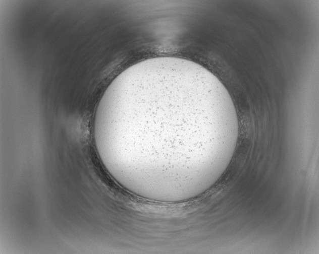 X0000053120032200508081303