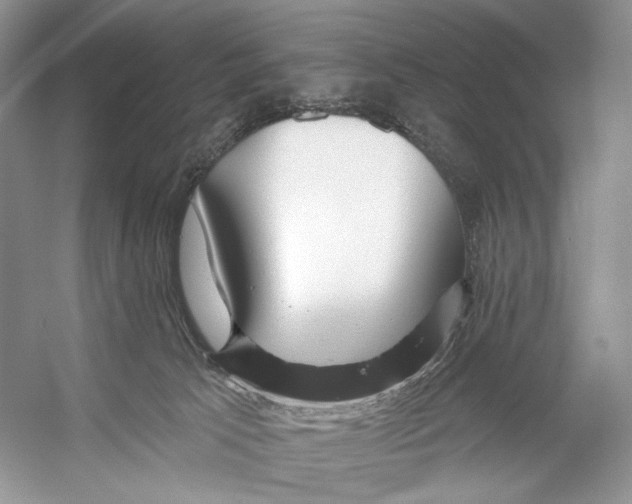 X0000053120033200508081303