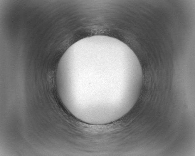 X0000053120034200508081303