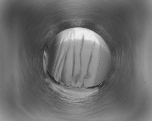 X0000053120035200508081303