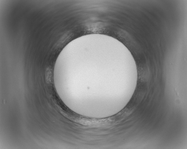 X0000053120036200508081303