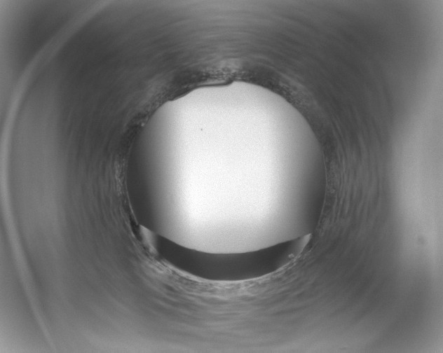 X0000053120037200508081303