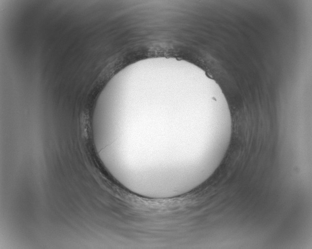 X0000053120038200508081303