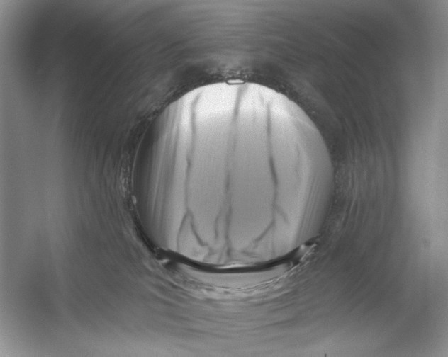 X0000053120039200508081303