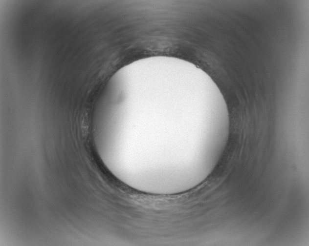 X0000053120040200508081303