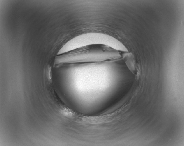 X0000053120041200508081303