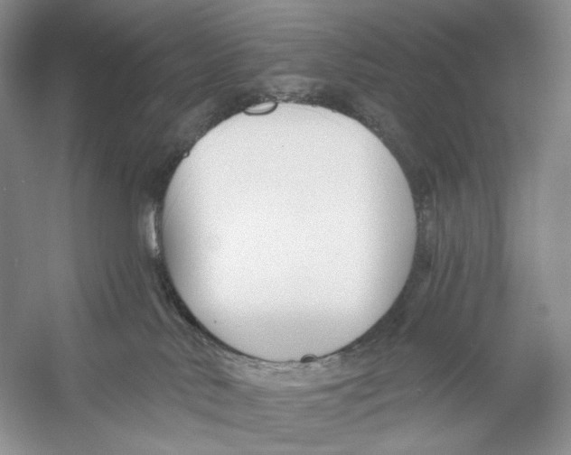 X0000053120042200508081303