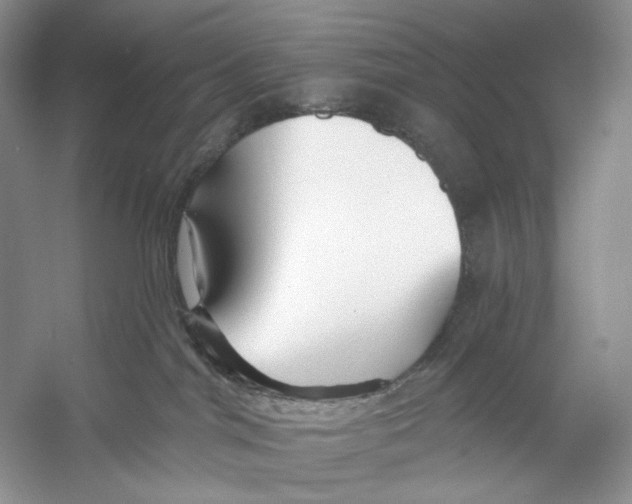 X0000053120044200508081303