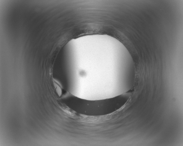 X0000053120045200508081303