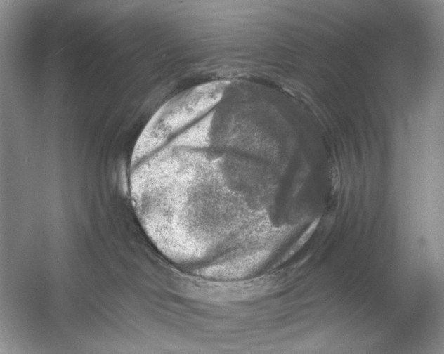 X0000053120046200508081303