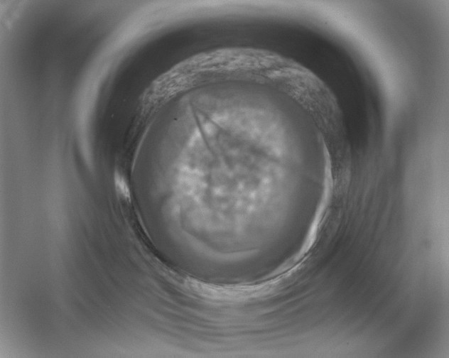 X0000053120047200508081303