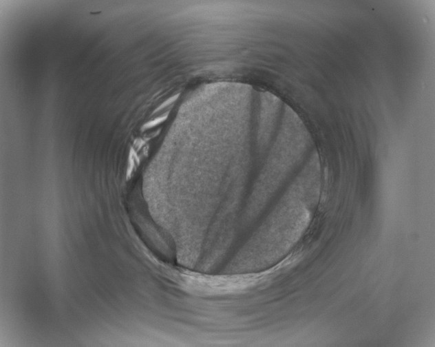 X0000053120048200508081303