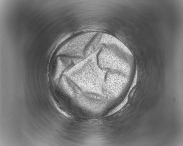 X0000053120050200508081302