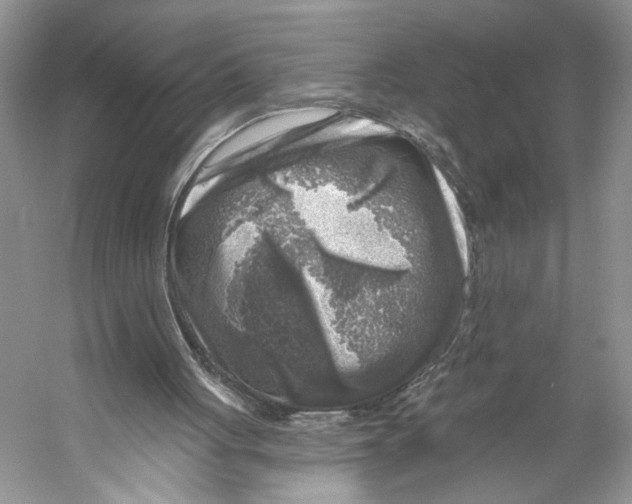 X0000053120051200508081302