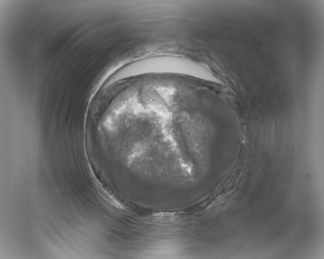 X0000053120052200508081302