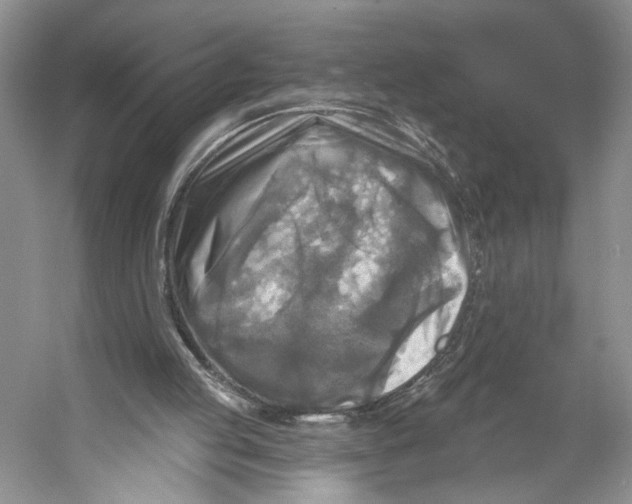 X0000053120053200508081302