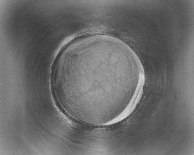 X0000053120054200508081302