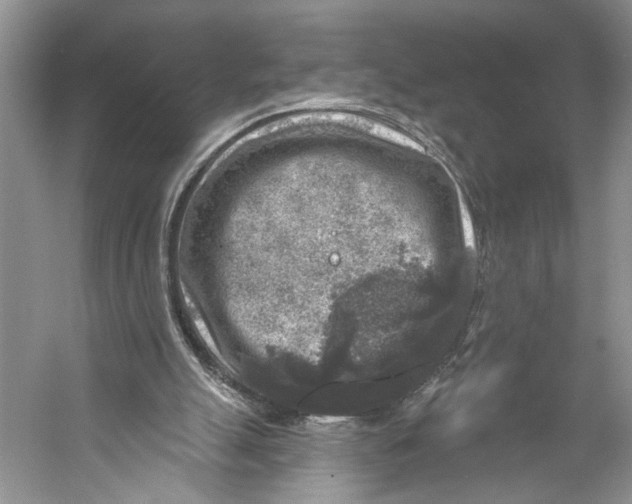 X0000053120055200508081302