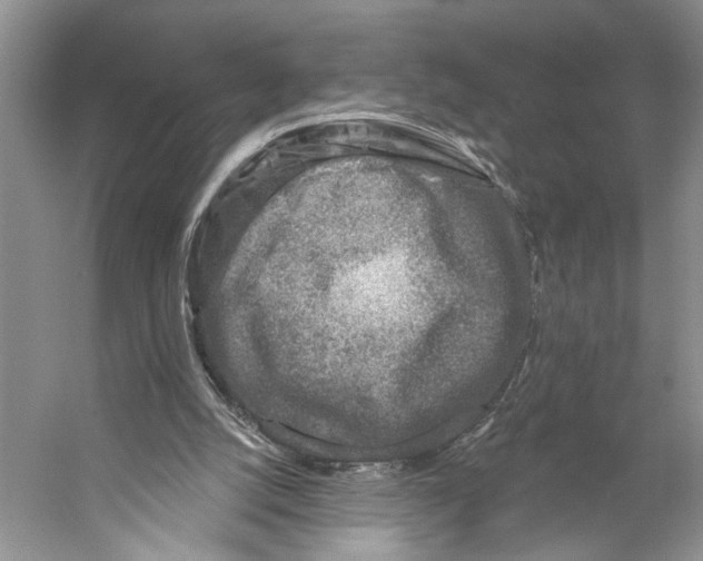 X0000053120056200508081302