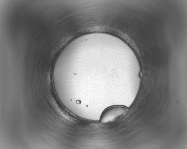 X0000053120057200508081302