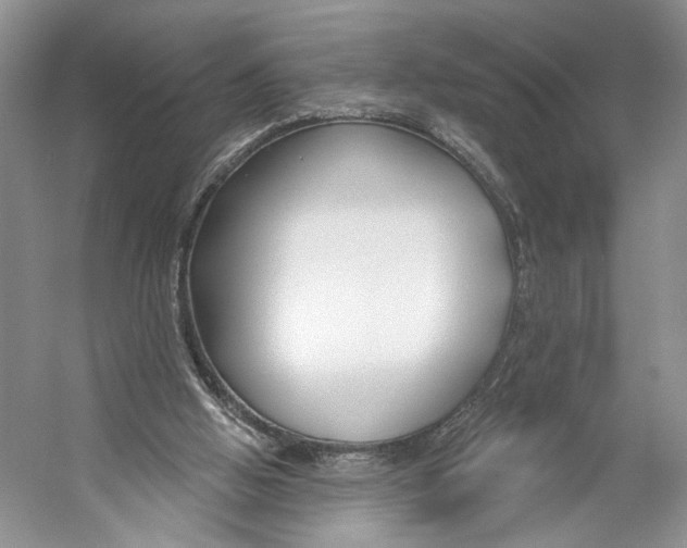 X0000053120058200508081302