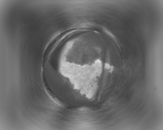 X0000053120059200508081302