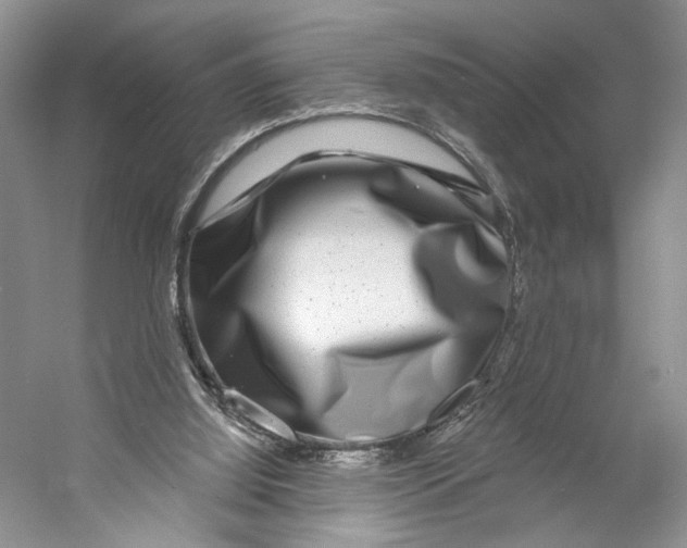 X0000053120060200508081302