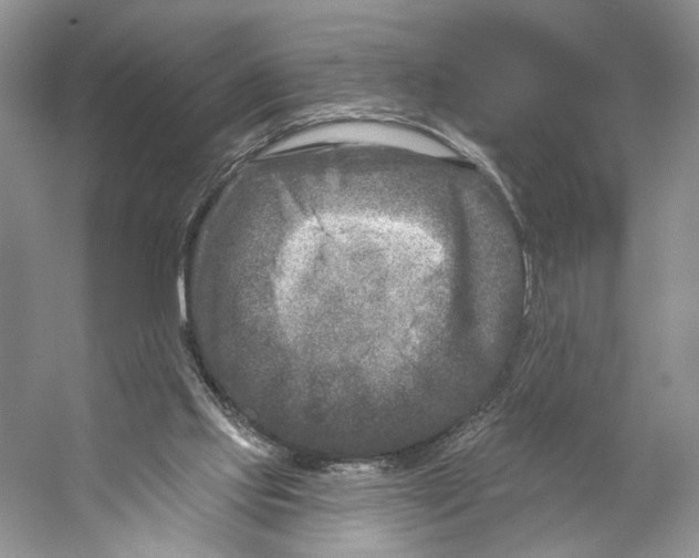 X0000053120061200508081302