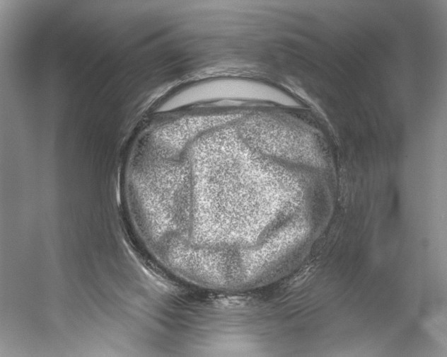 X0000053120062200508081302