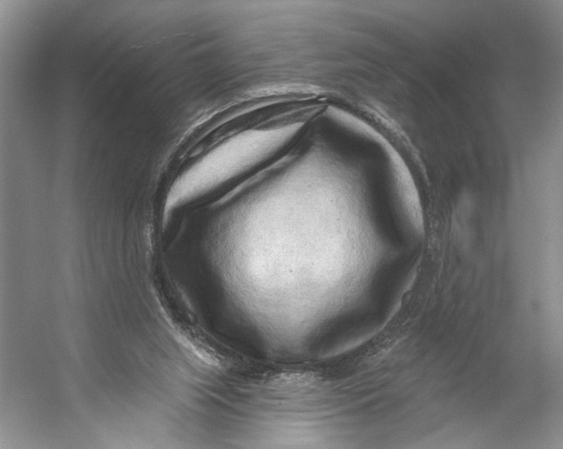 X0000053120063200508081302