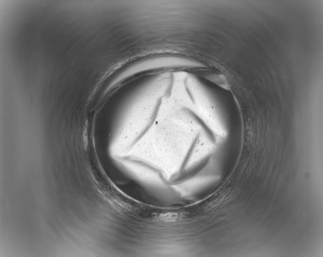 X0000053120064200508081302