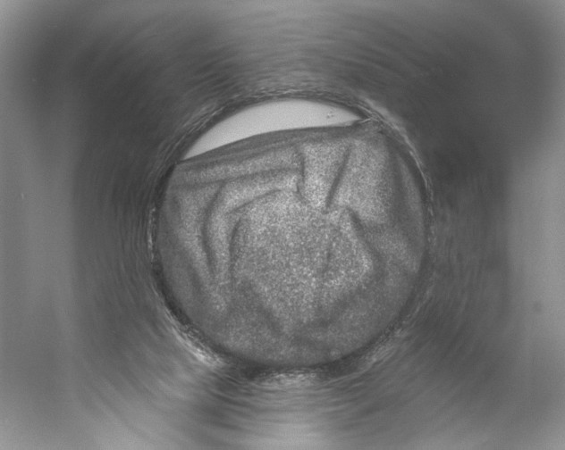 X0000053120065200508081302