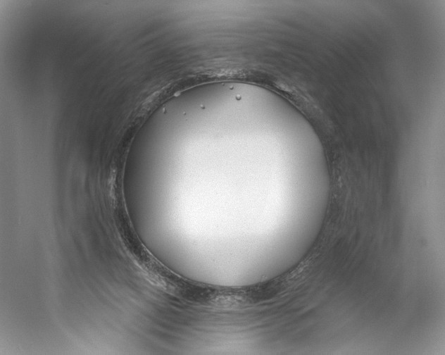 X0000053120066200508081302