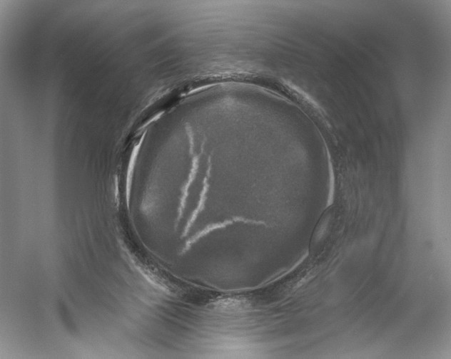 X0000053120067200508081302