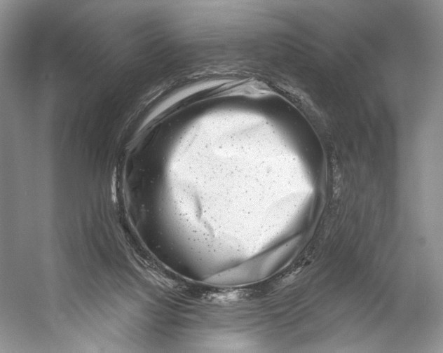 X0000053120068200508081302