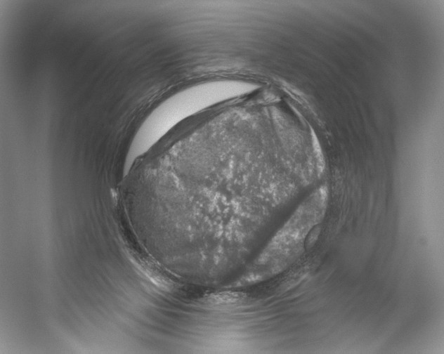 X0000053120069200508081302