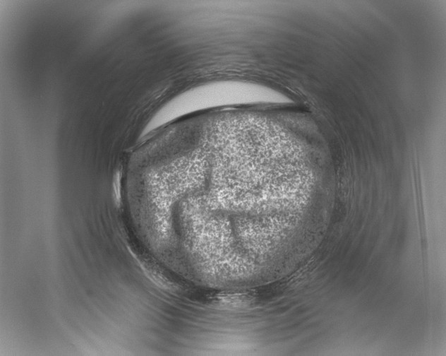 X0000053120070200508081303