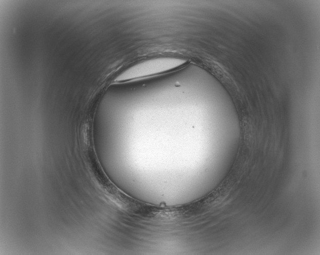 X0000053120071200508081303