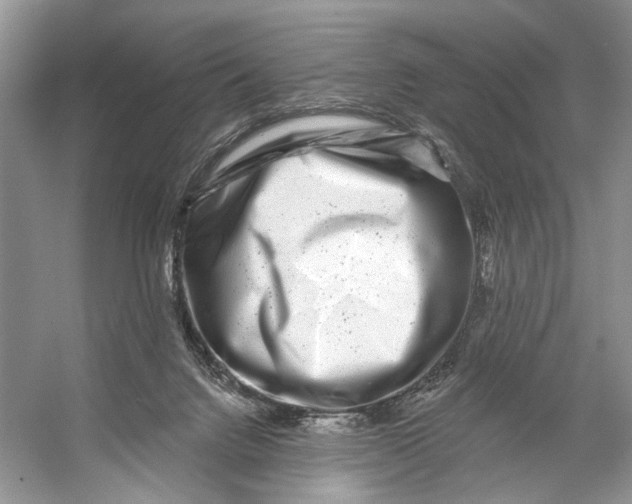 X0000053120072200508081303