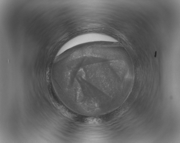 X0000053120073200508081303